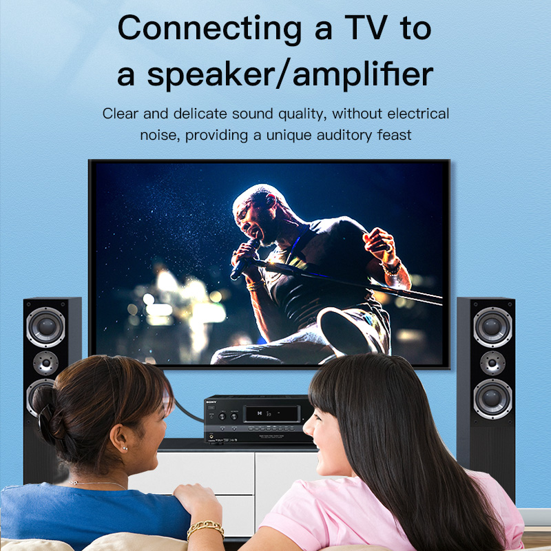 CHOSEAL RCAケーブル デジタル同軸オーディオケーブ - Home Cinema Ampli のレビューと価格